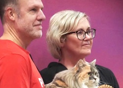 Helli, elä ja harrasta