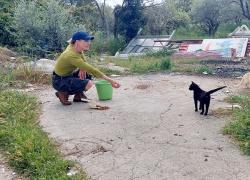 Kodittomien eläinten pelastaja