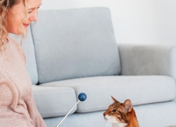 Terve kissa leikkii läpi elämän