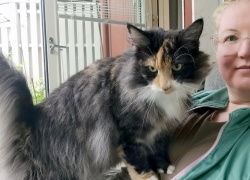 Laaturuoka ja virikkeet terveyden perustana