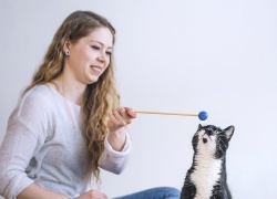 Kissa oppii motivoimalla
