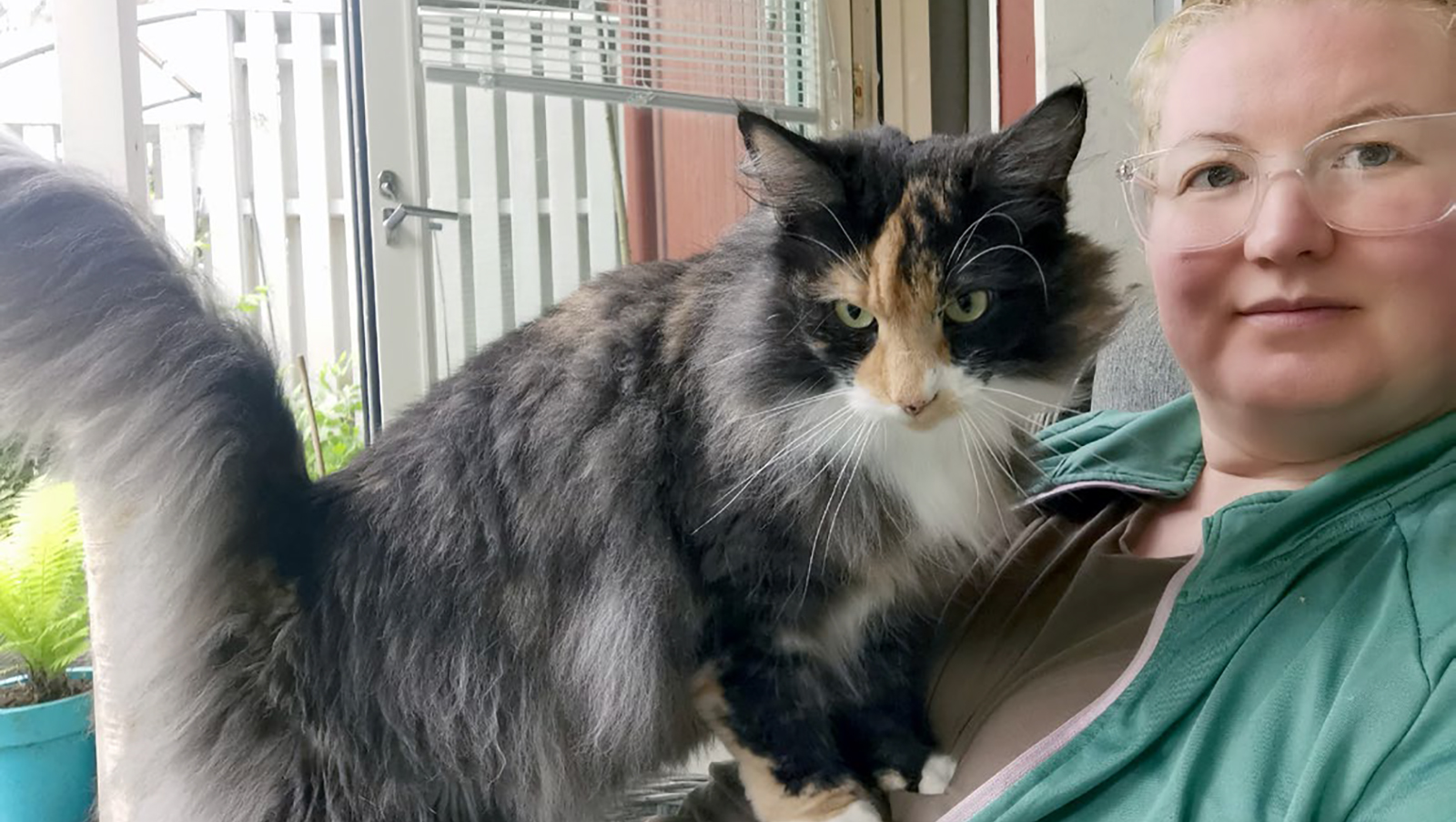 Nainen kissa sylissä