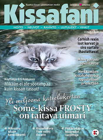 Kissafani 2/2022